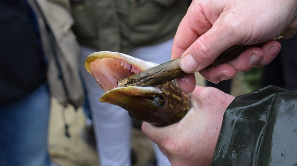 Charitativní výlov rybníka Korytný 24. října 2019