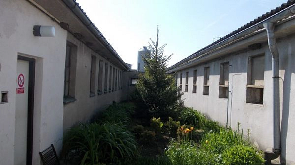 ZD Březina nad Jizerou