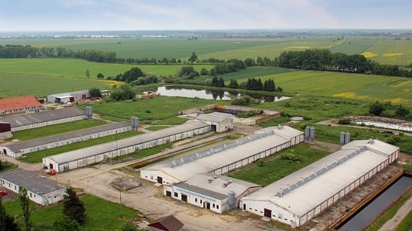 Odbytové družstvo Dynín